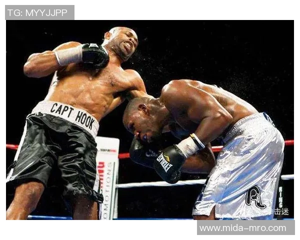 今天泰森与小罗伊琼斯的巅峰对决引发拳击界热议与期待