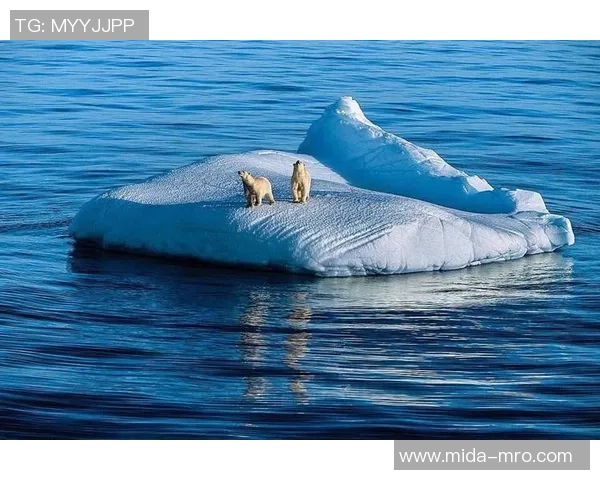 亚马尔地区的能源战略与全球气候变化的深远影响探讨