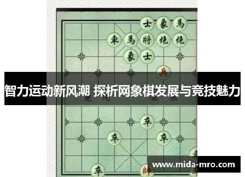 智力运动新风潮 探析网象棋发展与竞技魅力