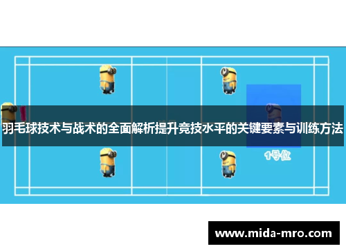 羽毛球技术与战术的全面解析提升竞技水平的关键要素与训练方法