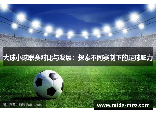 大球小球联赛对比与发展：探索不同赛制下的足球魅力