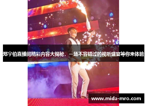 郑宇伯直播间精彩内容大揭秘，一场不容错过的视听盛宴等你来体验